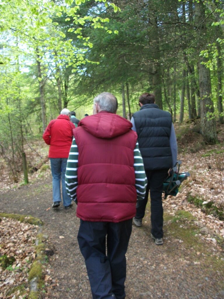 Forest School outdoor learning bushcraft eco-therapy